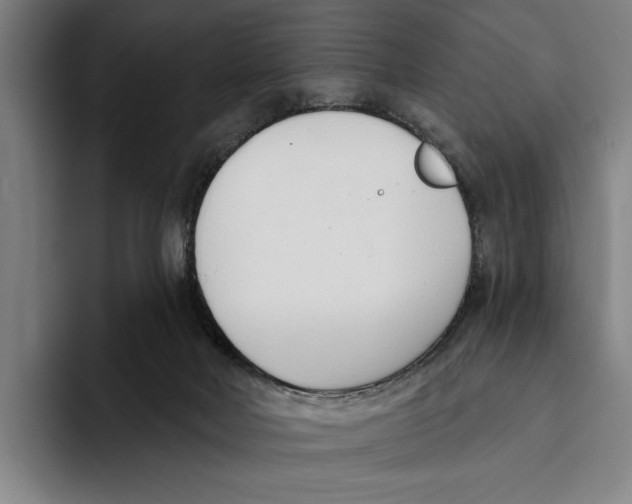 X0000093380026200711081554