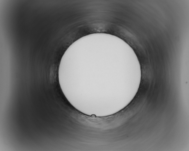 X0000093380030200711081554