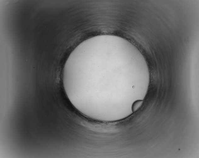 X0000093380032200711081554