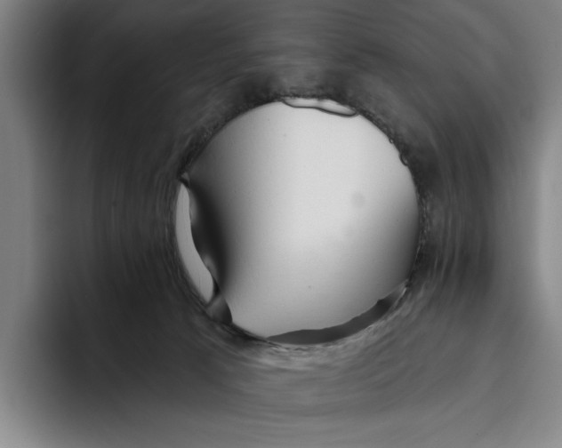 X0000093380033200711081554