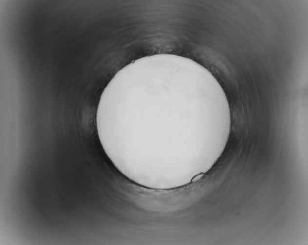 X0000093380034200711081554