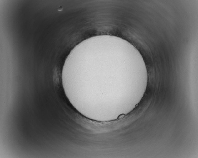 X0000093380038200711081554