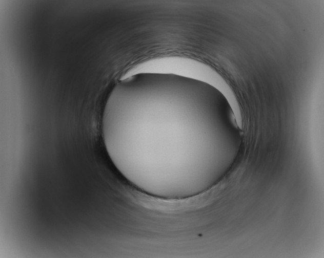 X0000093380039200711081554