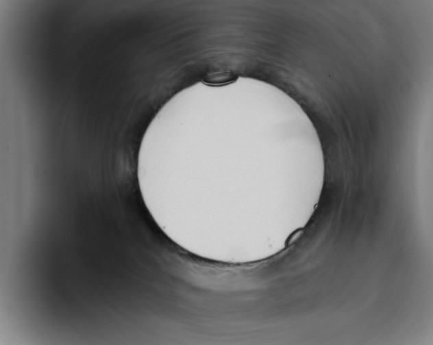 X0000093380040200711081554