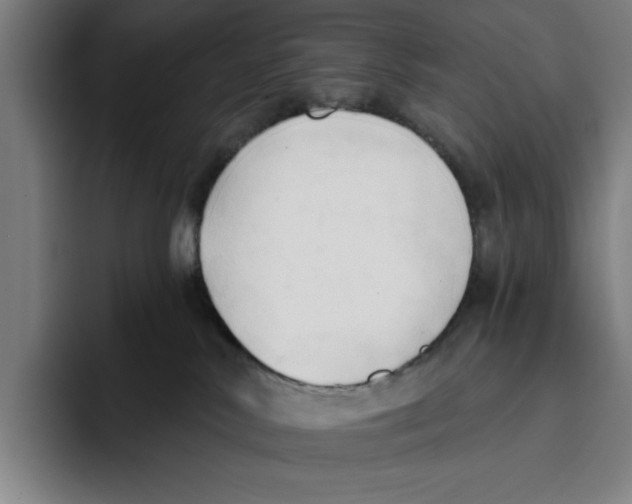 X0000093380042200711081554