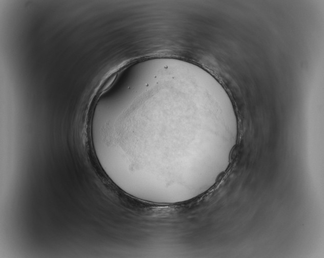 X0000093380050200711081553