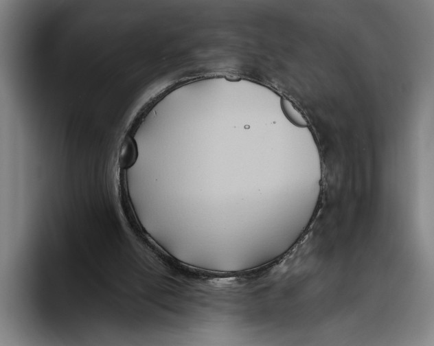 X0000093380054200711081553