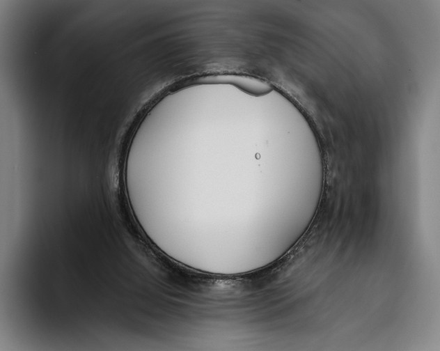 X0000093380060200711081553