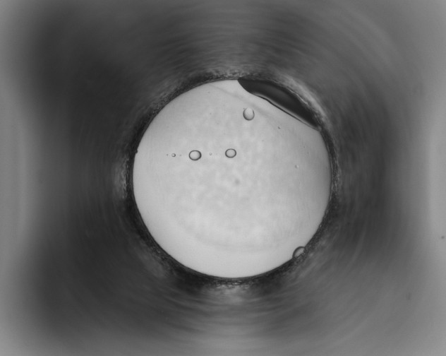 X0000093380065200711081553