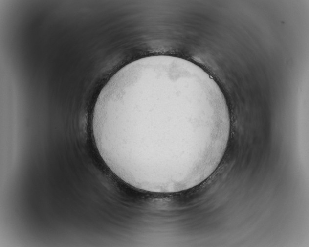 X0000093380066200711081553