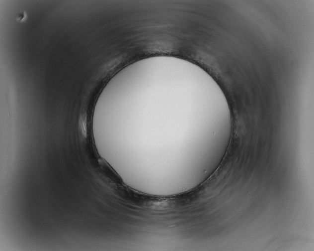 X0000093380068200711081553