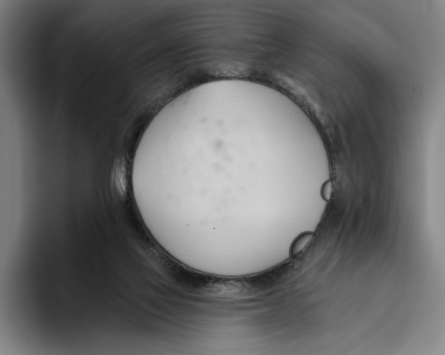 X0000093380069200711081553