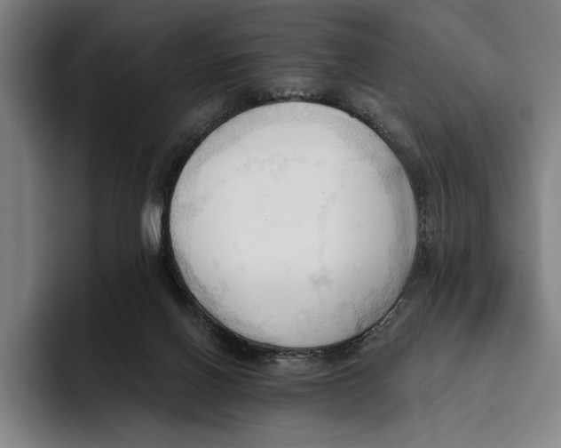 X0000093380070200711081553