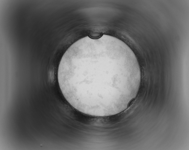 X0000093380074200711081553