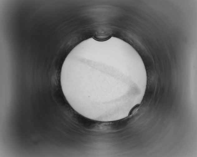 X0000093380078200711081553