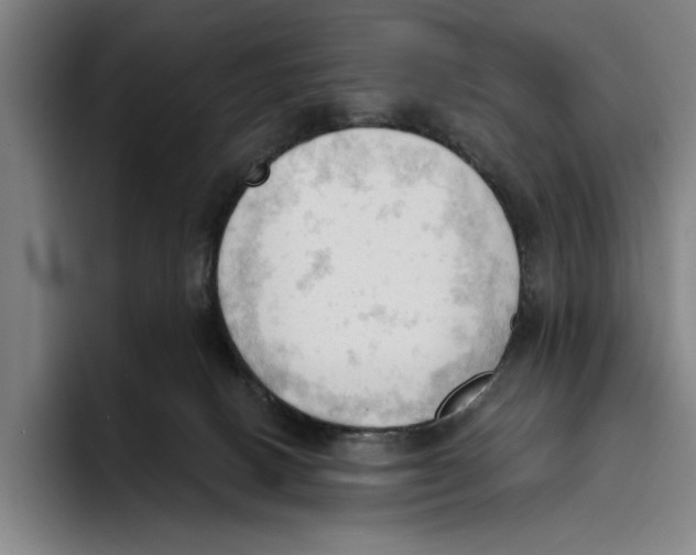 X0000093380082200711081553