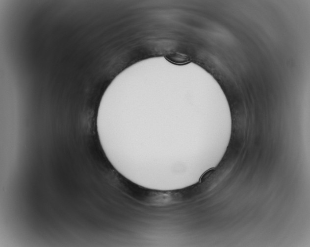 X0000093380083200711081553