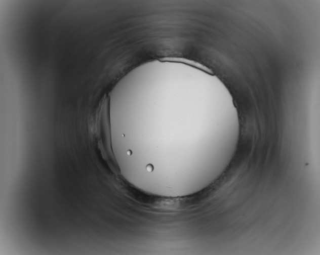 X0000093380084200711081553