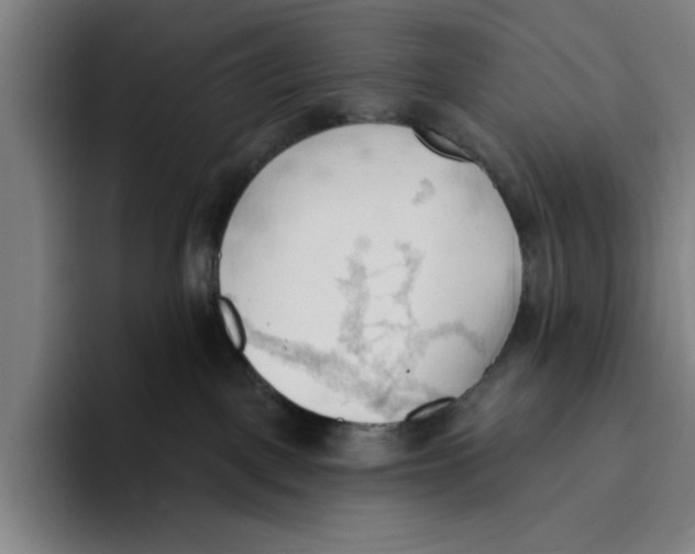 X0000093380093200711081554