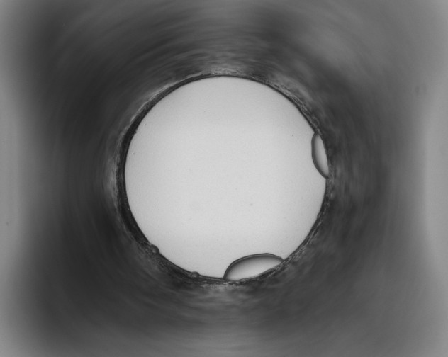 X0000093380098200711081553