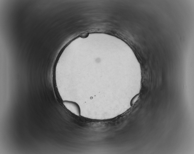 X0000093380100200711081553