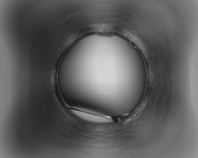 X0000093380105200711081553