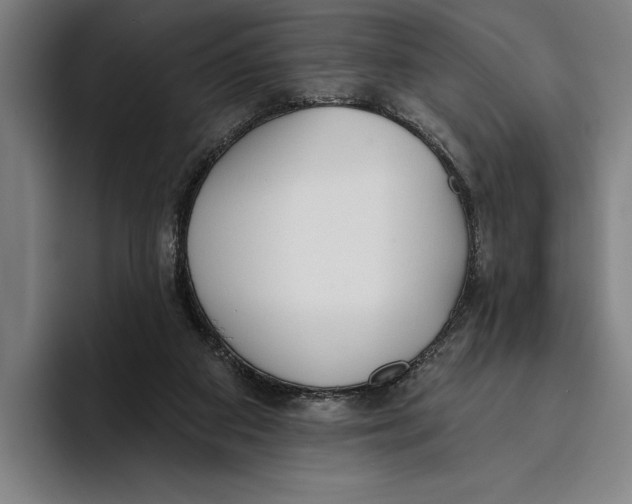 X0000093380113200711081553