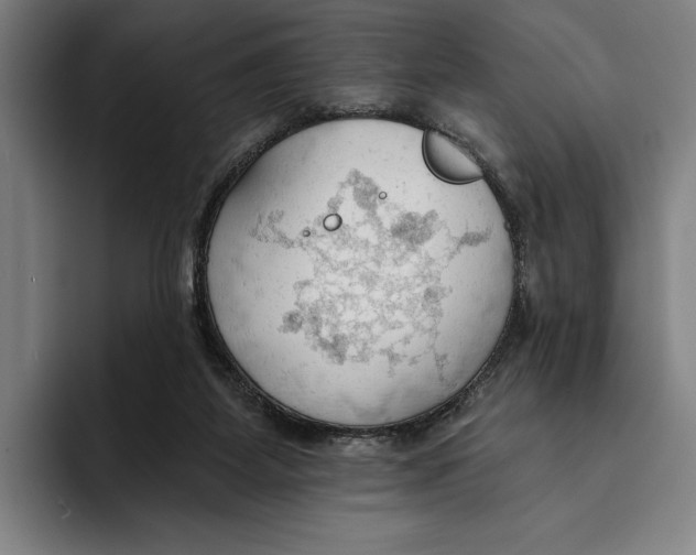 X0000093380115200711081553
