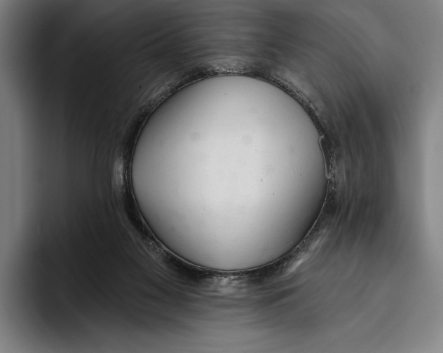 X0000093380117200711081553