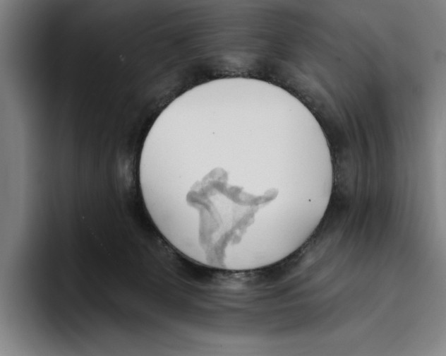 X0000093380131200711081552