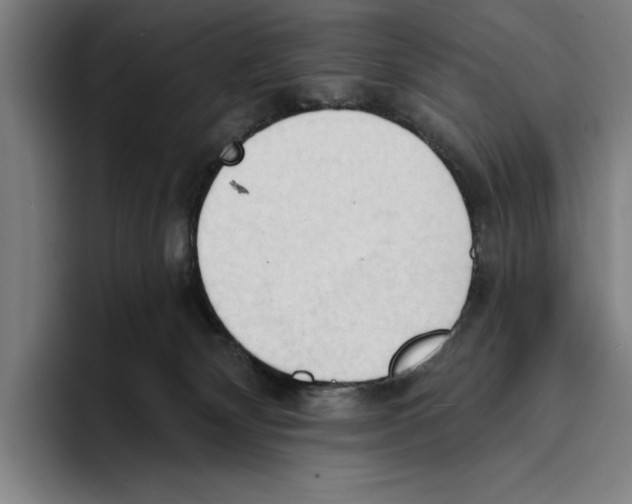 X0000093380132200711081552