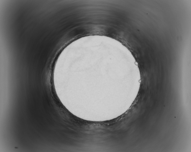 X0000093380146200711081552