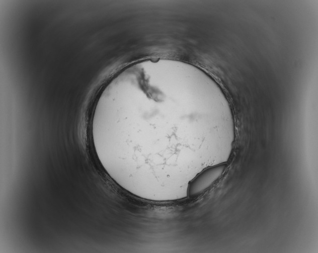 X0000093380149200711081552