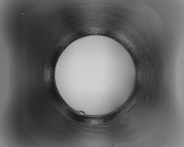 X0000093380165200711081552