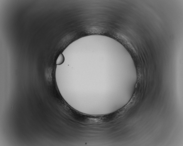 X0000093380167200711081552