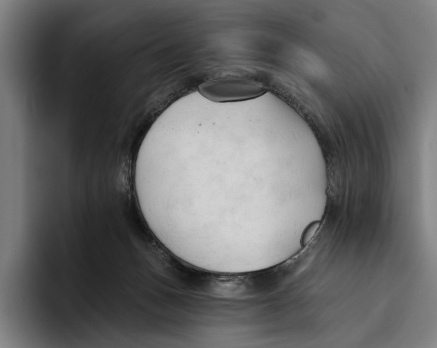 X0000093380175200711081552