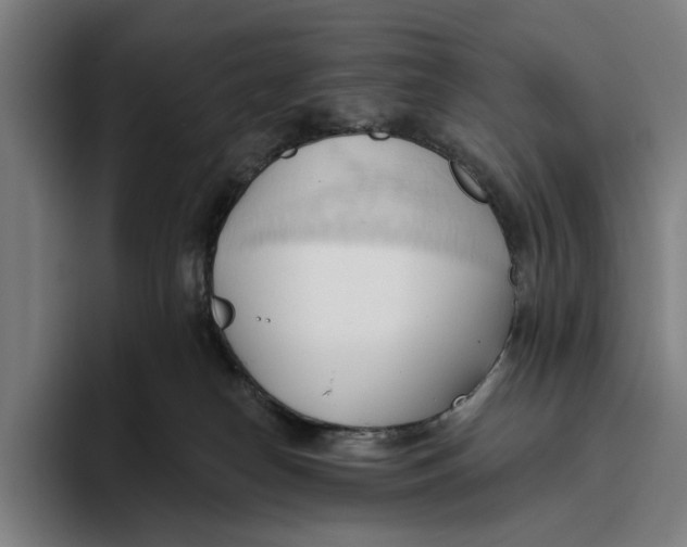 X0000093380182200711081552