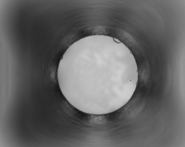 X0000093380185200711081552