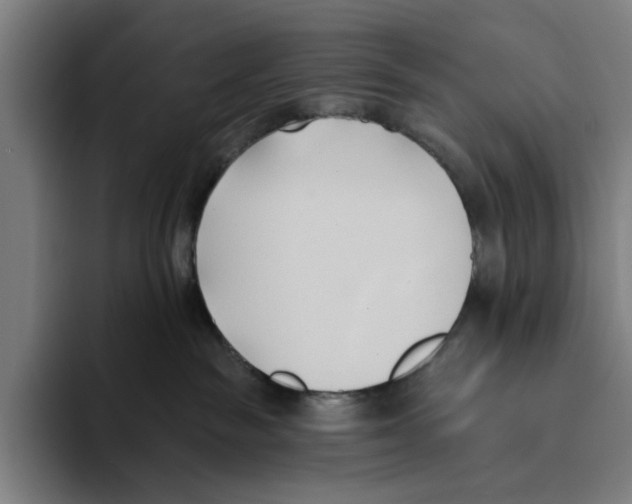 X0000093380189200711081552