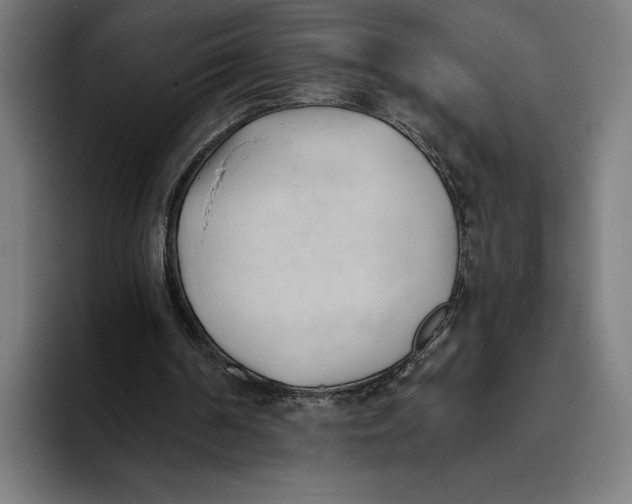 X0000093380194200711081552