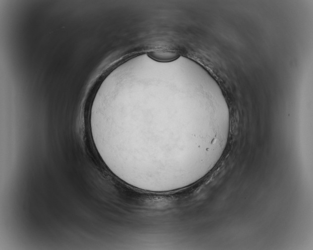 X0000093380198200711081552