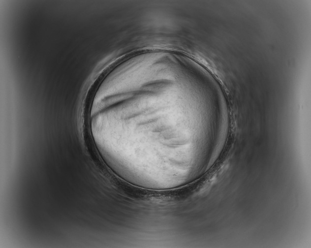 X0000093380199200711081552