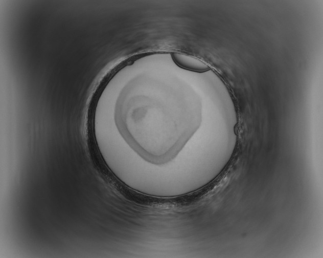 X0000093380200200711081552