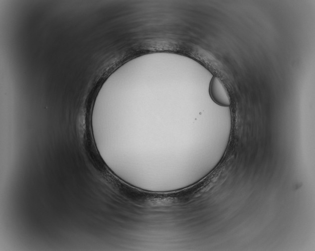 X0000093380202200711081552