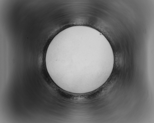 X0000093380208200711081551