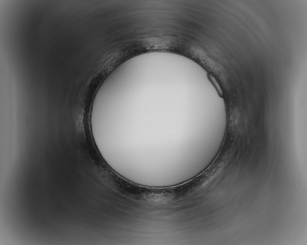 X0000093380209200711081551