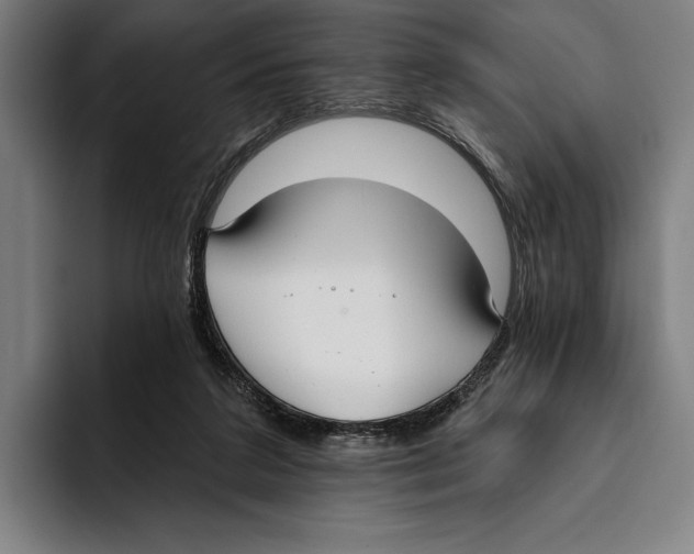 X0000093380211200711081551