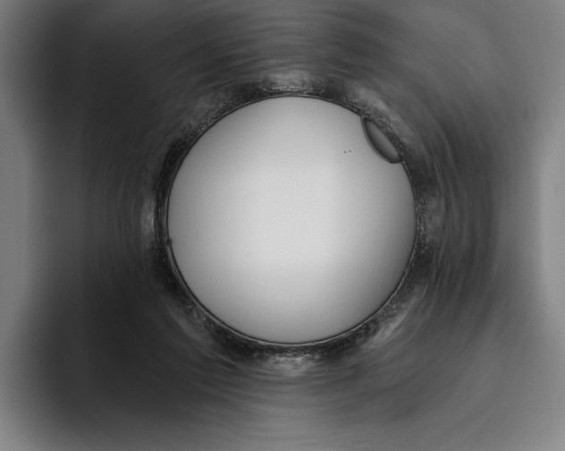 X0000093380213200711081551