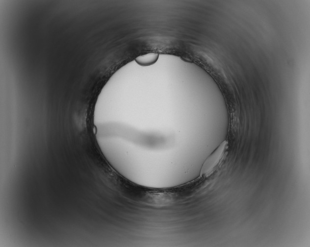 X0000093380221200711081551