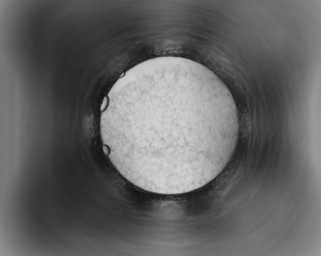 X0000093380224200711081551